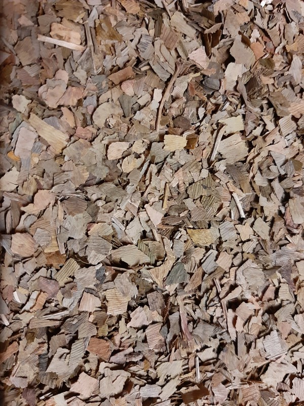 Feuilles De Ginkgo (Ginkgo Folium) - 50 Grammes