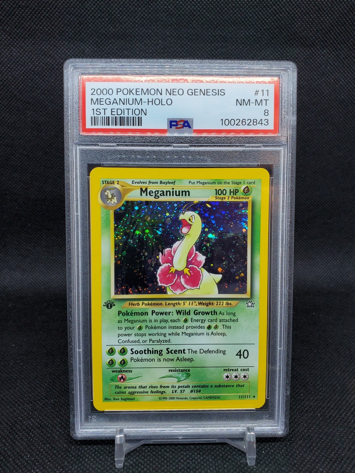PSA7 メガニウム 英語版 Meganium 11/111 2000年 $_57.JPG