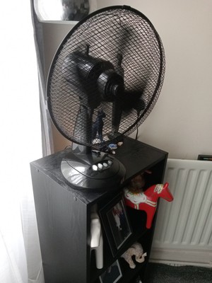 Fotos del artículo de un comprador verificado