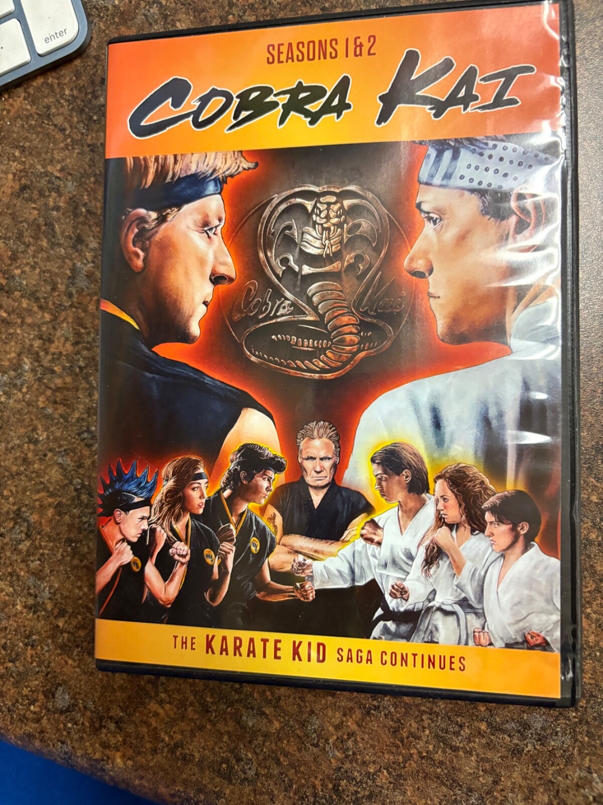Cobra Kai: Seasons 1 & 2 (DVD) 43396562806| eBay