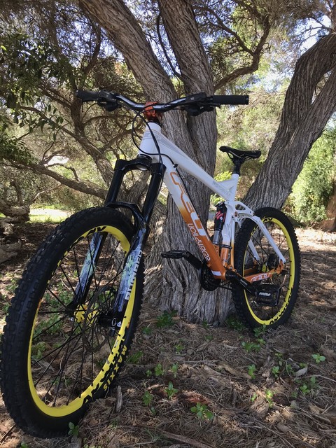 downhill mountain bike gumtree