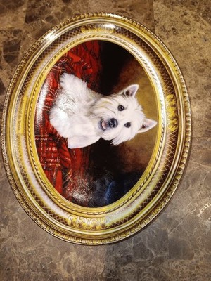 Photos de l'objet d'un acheteur vérifié