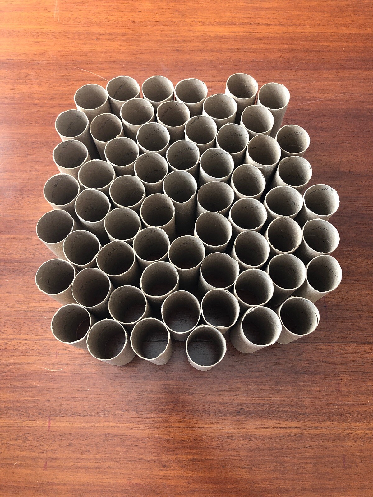 Lot of 60 Empty and Clean Toilet Paper Rolls for Craft Projects