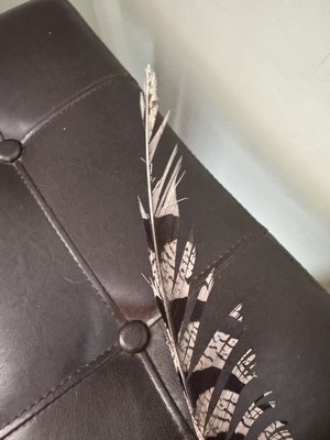 Fotos del artículo de un comprador verificado