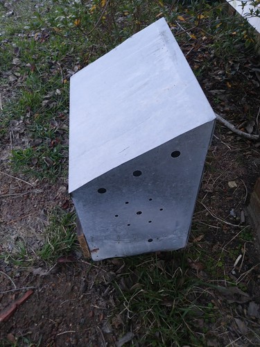 Vintage Chicken Hen Nest Box Rusty Industrial Galvanized Metal Barn Farm Fresh 2