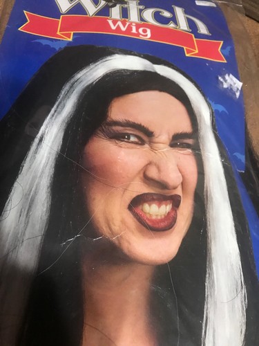 Wicked Witch Black White Streak Wig Costume Accessory