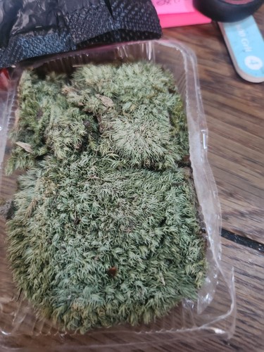 Fotos del artículo de un comprador verificado