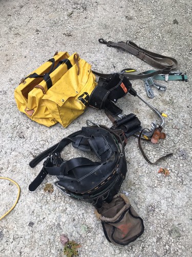 buckingham climbing belt