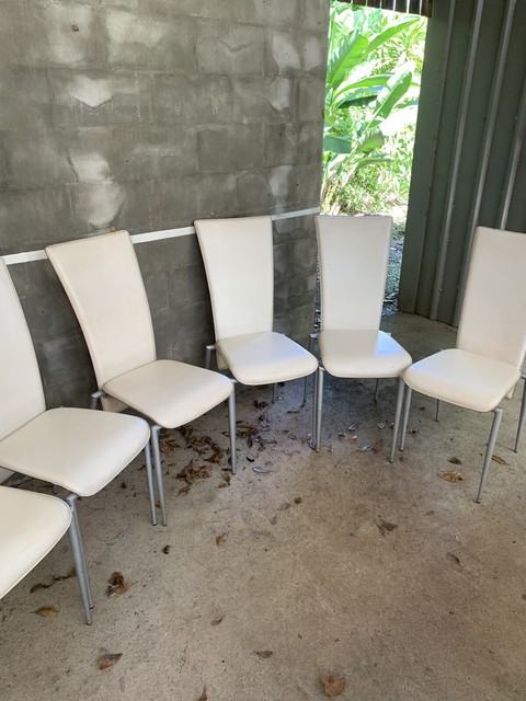 8 matching white dining chairs | Dining Chairs | Gumtree Australia