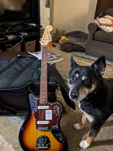 ギター FenderMadeinJapan Traditional60s Jaguar Fender / Made in Japan Traditional 2025 Collection 60s