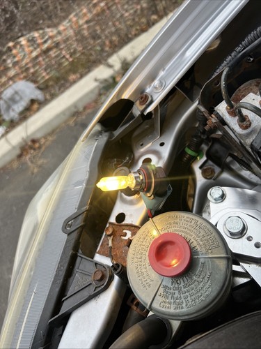 Fotos del artículo de un comprador verificado