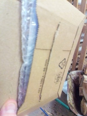 Artikelfoto(s) von einem verifizierten Käufer