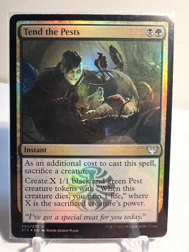 MTG unsanctioned 山 foil 10枚 MTG FOIL Tend the Pests (242/447) Strixhaven School of Mages