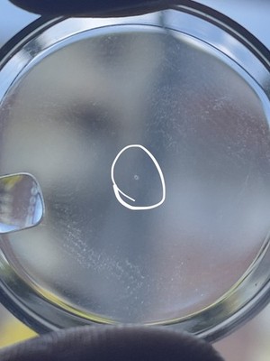Artikelfoto(s) von einem verifizierten Käufer