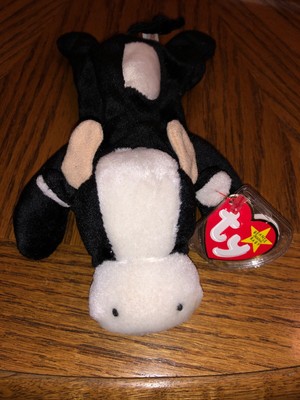 daisy beanie baby value