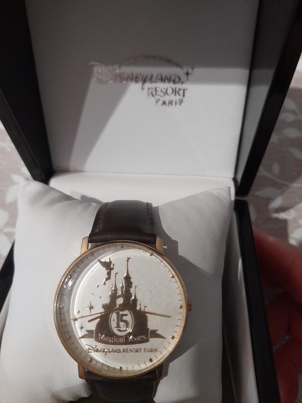 Montre Disneyland Paris15 Ans