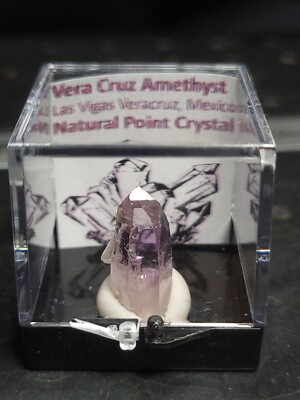 Vera Cruz Amethyst natural crystal from Mexico in Perky Box (D)