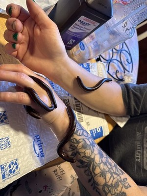 Artikelfoto(s) von einem verifizierten Käufer