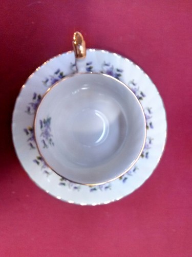 Antique Rosina Fine Bone China Teacup and Saucer Set (Made in England)