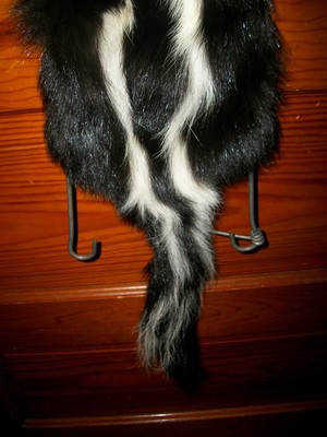 BEAUTIFUL tanned SKUNK 4 FEET CLAWS FUR PELT TAXIDERMY mount NO SMELL S9 cabin