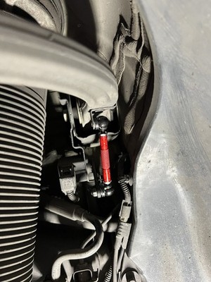 Artikelfoto(s) von einem verifizierten Käufer