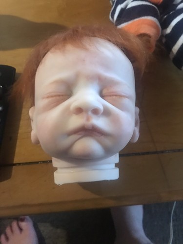 Reborn. Lot  Head Body Plate Best Offer