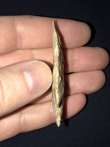 Outstanding 2 1/2” Kentucky Harrodsburg Stilwell