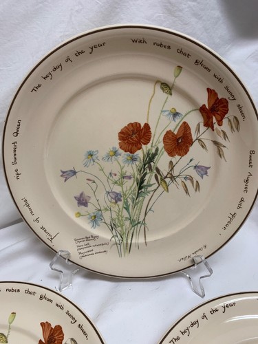 Lot of 3 Noritake The Country Diary Of An Edwardian Lady 10” Dinner Plate Holden