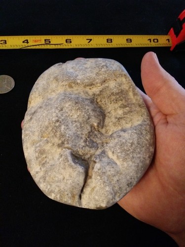 Petoskey Stone. 24.15 OZ. Ultra Polish.