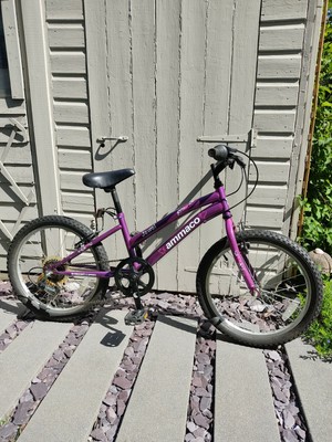 Ammaco 'Jewel' 20inch wheel Small - Purple