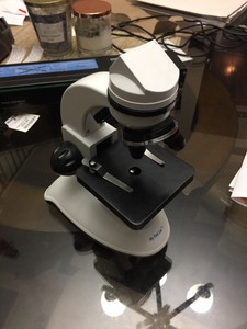 My First Lab Duo-scope Microscope | eBay