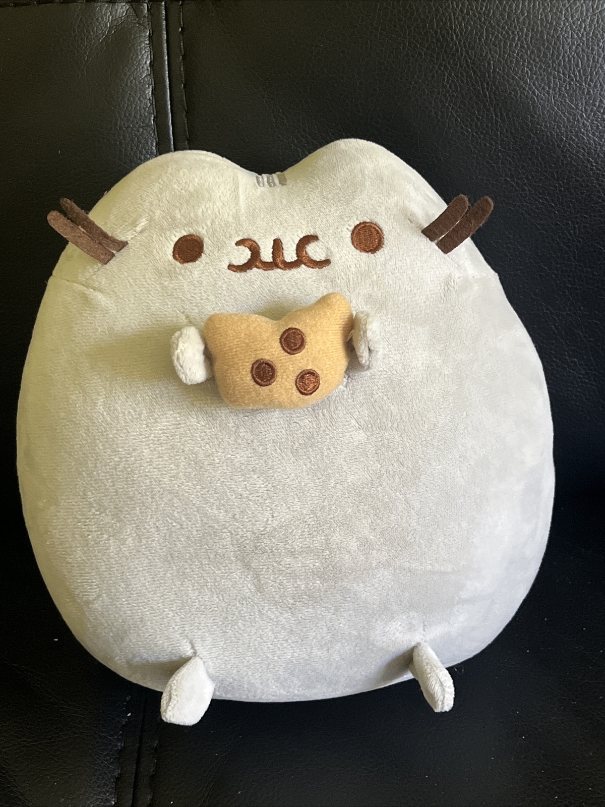chip pusheen