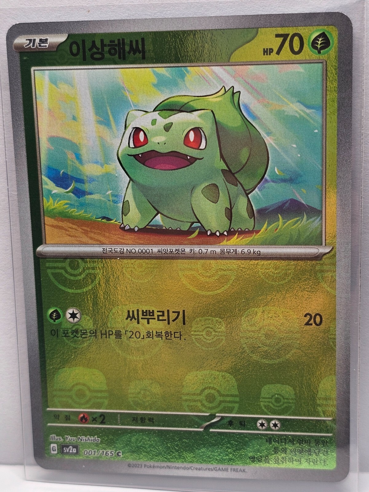 フシギダネ 124/BW-P ジムチャレンジ プロモ Bulbasaur 151 ポケモンカード フシギダネ 124/BW-P ジムチャレンジ プロモ