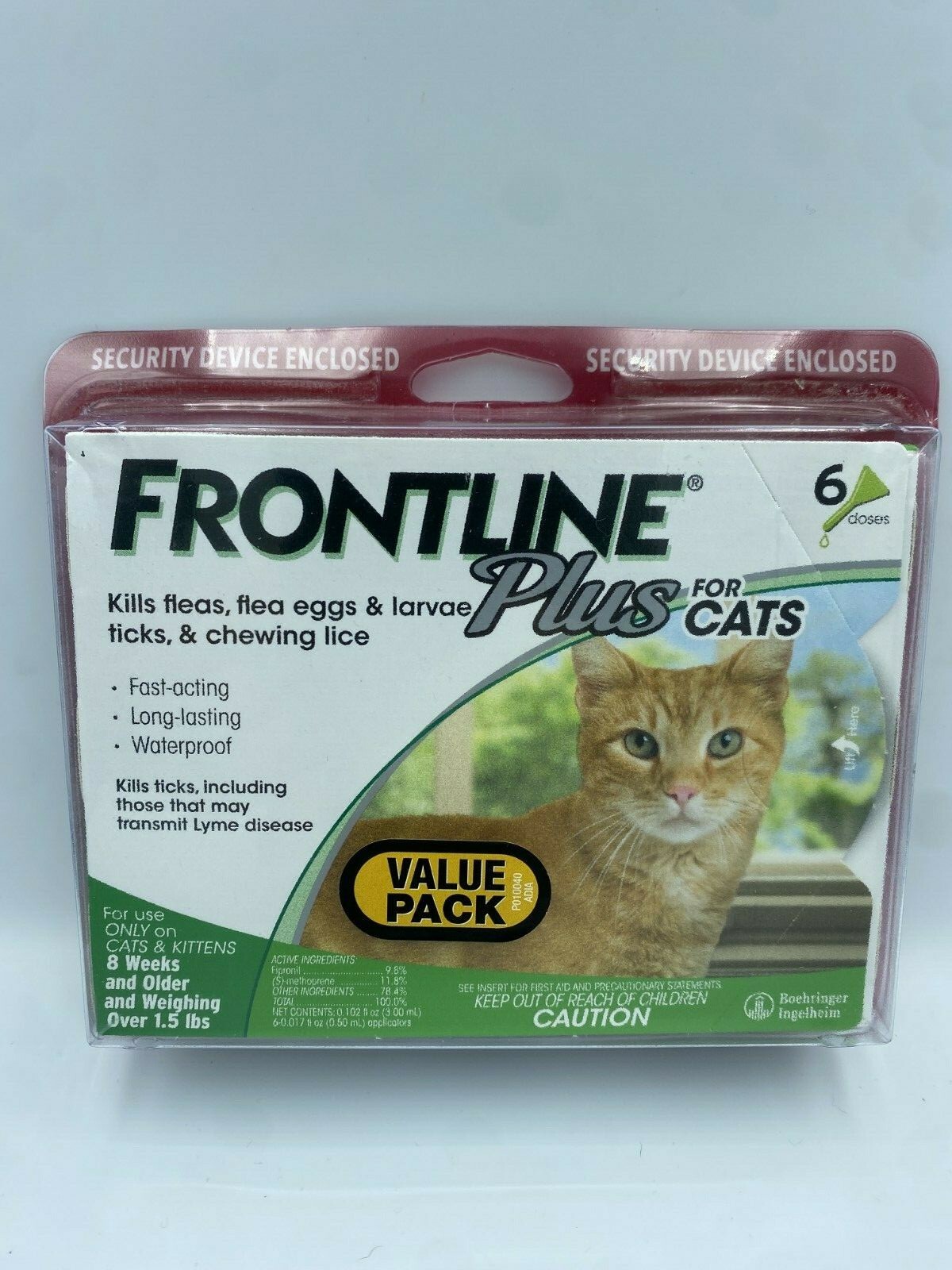 frontline cats 6