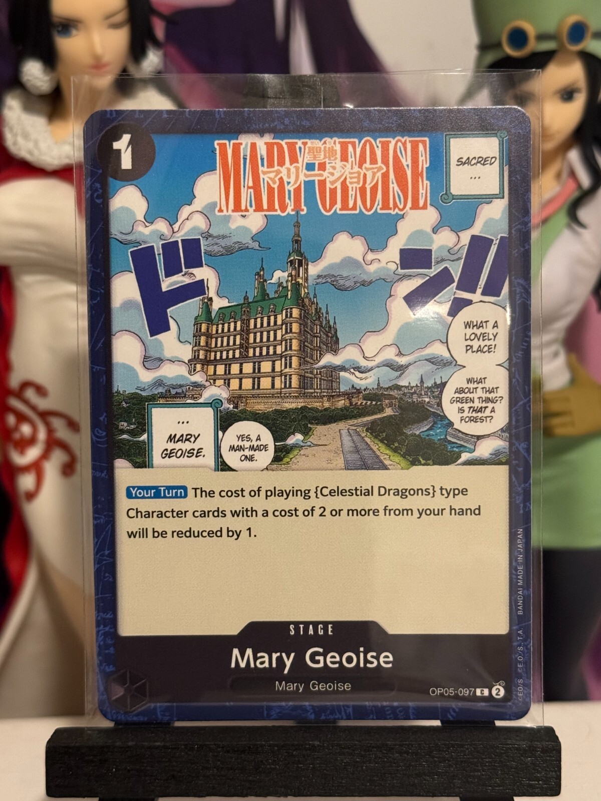 $_57.JPG?set_id=880000500F