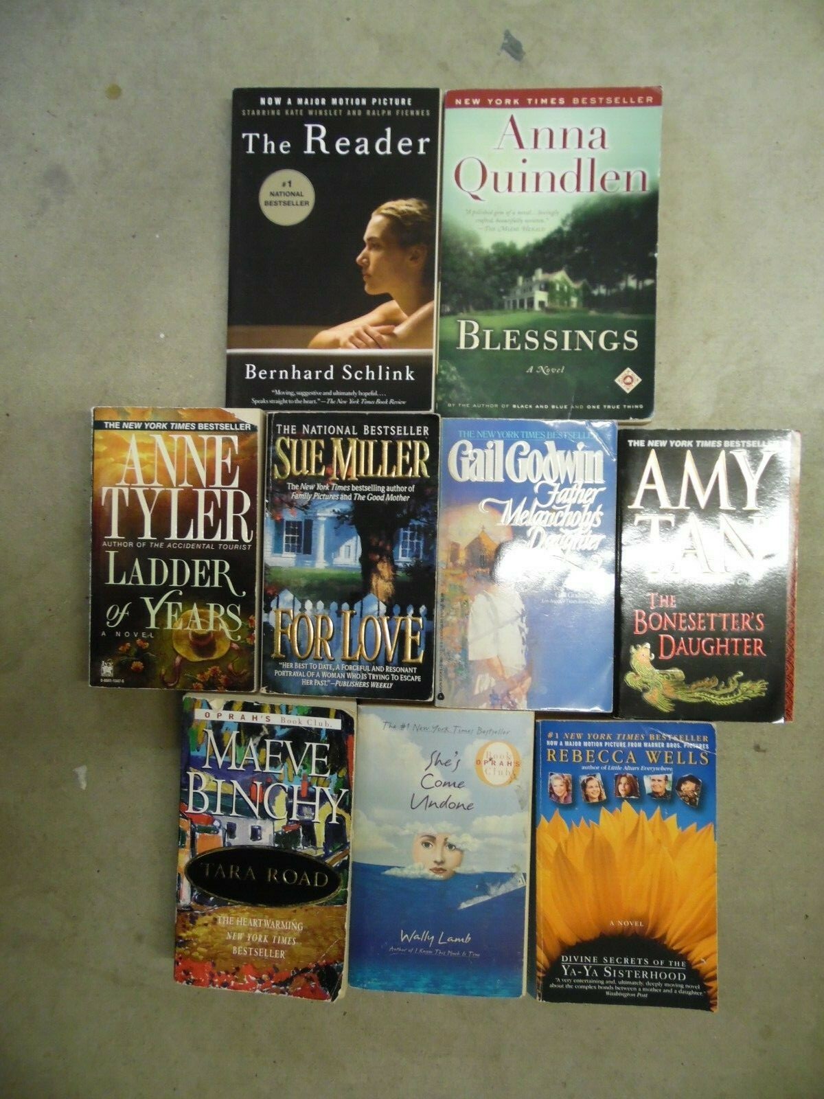 Large Lot of 22 Modern Literature, Women's Fiction, Oprah Paperback Books