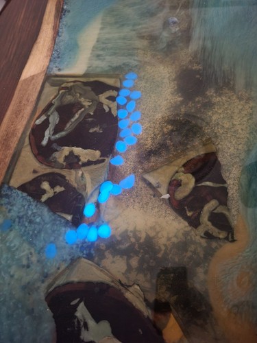 Rosewood river table epoxy resin