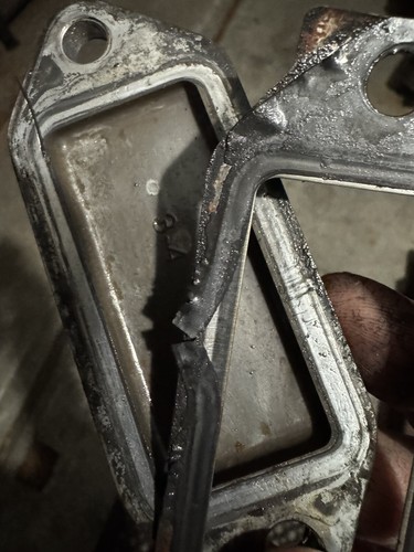 Fotos del artículo de un comprador verificado