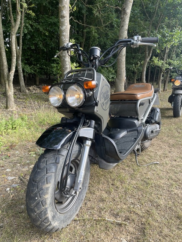 Jackson Custom Honda Ruckus/Zoomer - Rare UK Custom Build