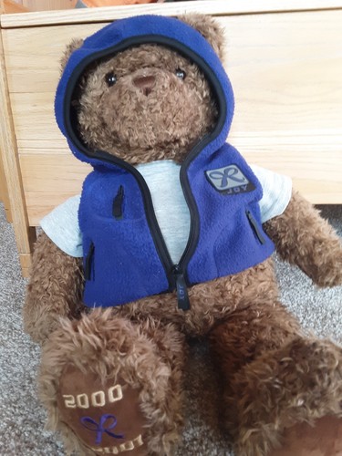 Gund collectors classic bear 26