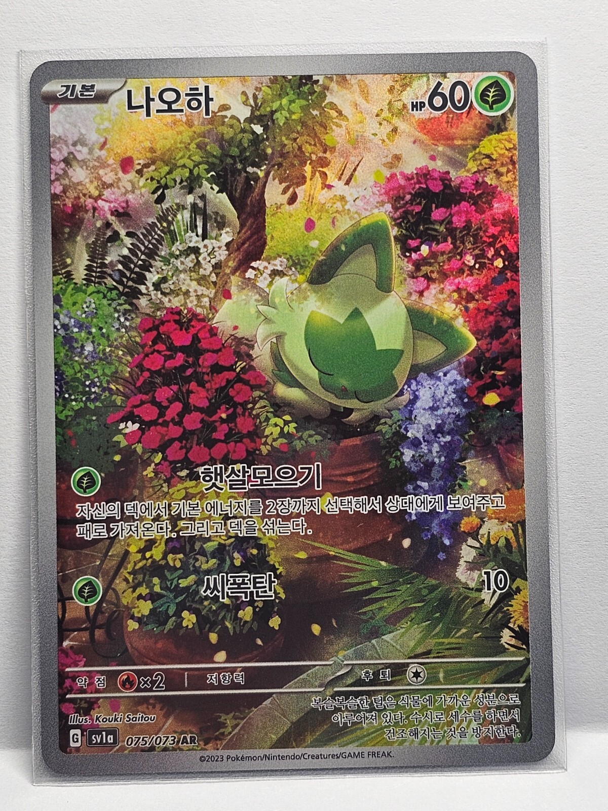 ポケモンカードゲーム abcg $_57.JPG?set_id=880000500F