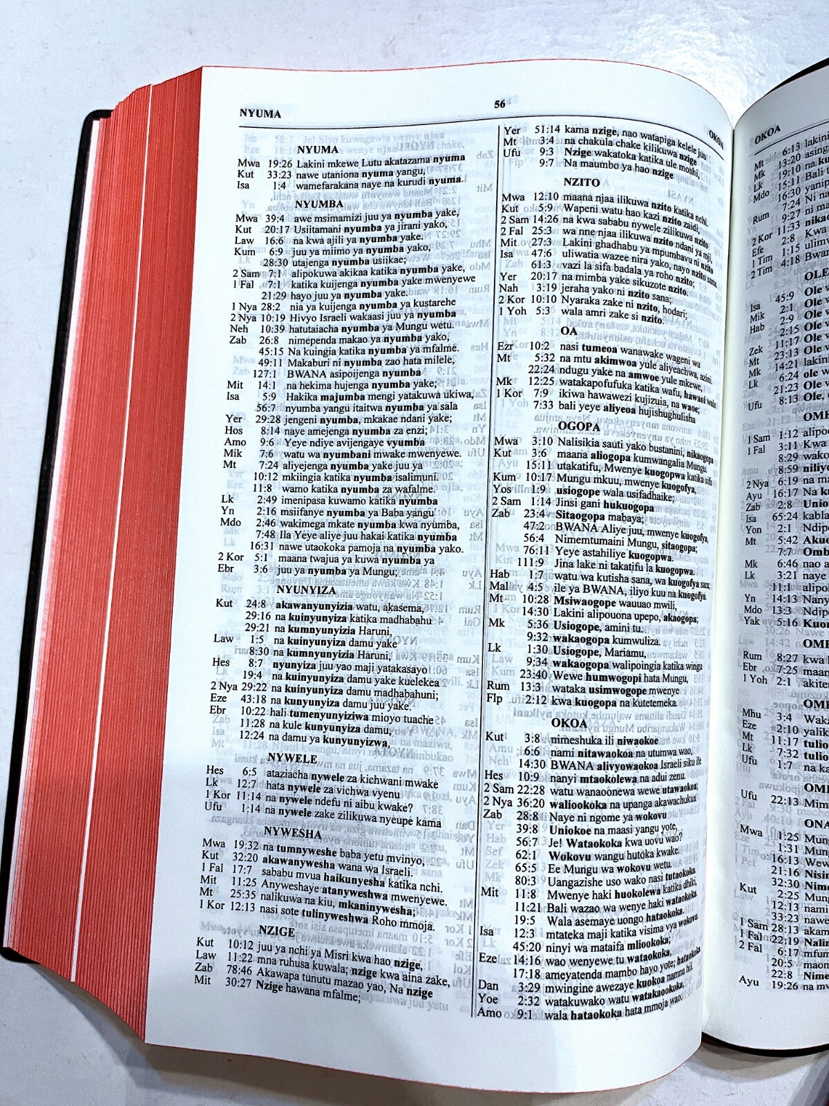 Swahili Bible, Union Version, Reference Bible, Black Vinyl