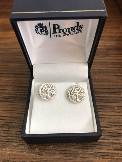 prouds earrings silver