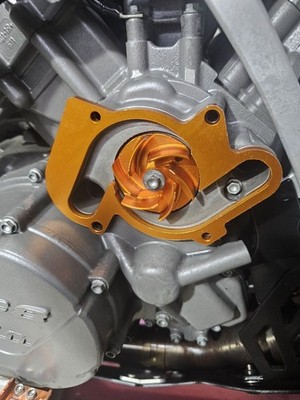 Artikelfoto(s) von einem verifizierten Käufer