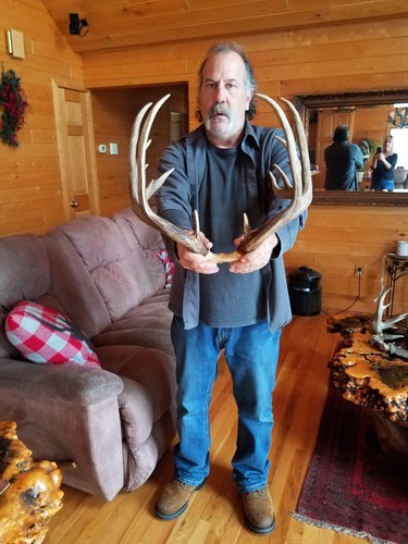 14 point whitetail deer antlers