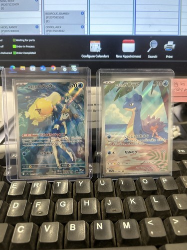 PSA 10 Eevee ex SAR 223/187 Terastal Festival sv8a 2024 PSA 10 Eevee ex SAR 223/187 Terastal Festival sv8a 2024