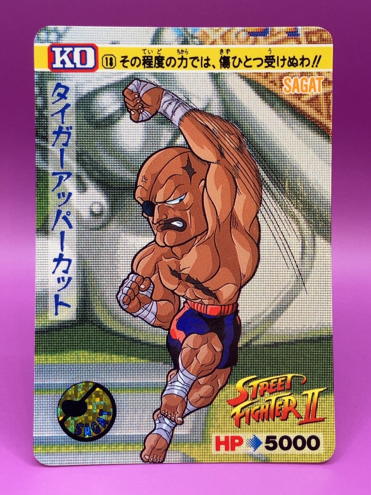 Sagat Street Fighter 2 TCG Carddass Super Famicom Video Game Sagat Street Fighter 2 TCG Carddass Super Famicom Video Game