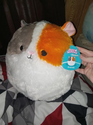Everett The Hamster Squishmallow 12 Inch
