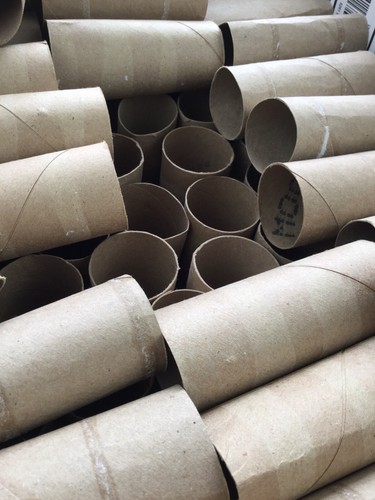 100 Count Of Clean Toilet Paper Rolls