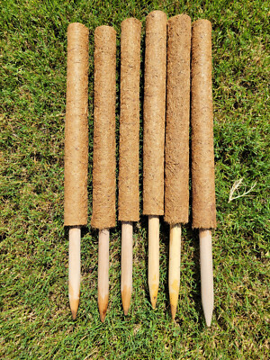 Pack of 6-Coco Coir Stackable Pole for Plants Monstera  24'' Moss Plant Support